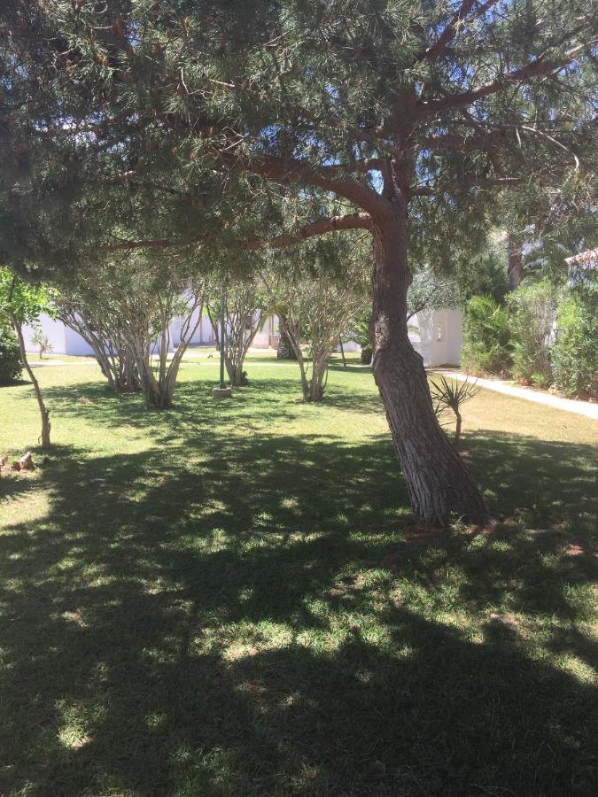Semesterbostad Cala Serena 1